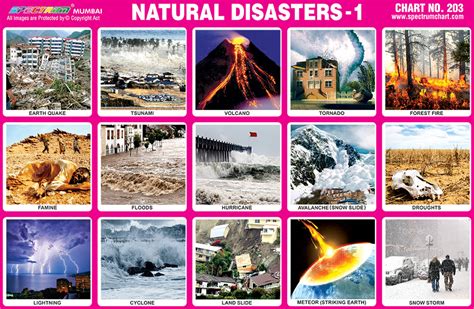 there are a number of natural disasters